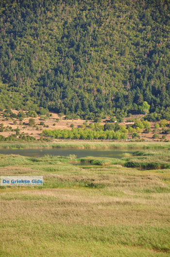 Stymfalia | Korinthia Peloponnesos Griekenland 12 - Foto van https://www.grieksegids.nl/fotos/peloponessos/normaal/peloponessos-griekenland-1253.jpg