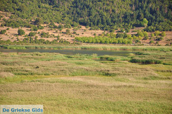 Stymfalia | Korinthia Peloponnesos Griekenland 13 - Foto van https://www.grieksegids.nl/fotos/peloponessos/normaal/peloponessos-griekenland-1254.jpg
