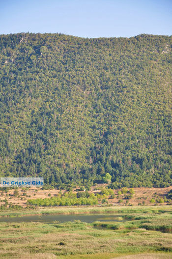 Stymfalia | Korinthia Peloponnesos Griekenland 17 - Foto van https://www.grieksegids.nl/fotos/peloponessos/normaal/peloponessos-griekenland-1258.jpg