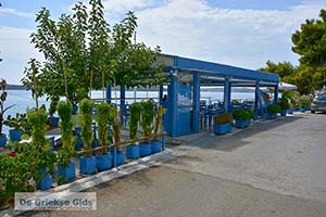 Ermioni Peloponnesos - Foto nummer 18 - Foto van https://www.grieksegids.nl/fotos/peloponnesos/argolis/normaal/ermioni-018.jpg