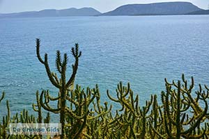 Ermioni Peloponnesos - Foto nummer 19 - Foto van https://www.grieksegids.nl/fotos/peloponnesos/argolis/normaal/ermioni-019.jpg