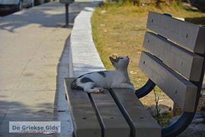 Porto Cheli Peloponnesos - Foto nummer 6 - Foto van https://www.grieksegids.nl/fotos/peloponnesos/argolis/normaal/porto-cheli-006.jpg