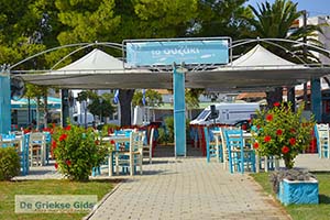 Porto Cheli Peloponnesos - Foto nummer 12 - Foto van https://www.grieksegids.nl/fotos/peloponnesos/argolis/normaal/porto-cheli-012.jpg