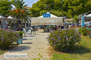 Porto Cheli Peloponnesos - Foto nummer 14 - Foto van https://www.grieksegids.nl/fotos/peloponnesos/argolis/normaal/porto-cheli-014.jpg