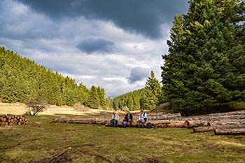 Vlachika Elati Zygovisti Arkadia - Foto Menalon Trail 22 - Foto van Menalon Trail