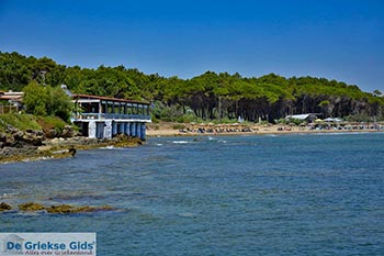 Glyfa - Elia Peloponnesos foto 6 - Foto van https://www.grieksegids.nl/fotos/peloponnesos/elia/glyfa-elia/350pix/glyfa-elia-006.jpg