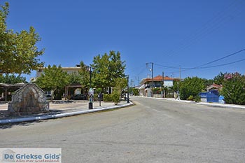 Glyfa - Elia Peloponnesos foto 7 - Foto van https://www.grieksegids.nl/fotos/peloponnesos/elia/glyfa-elia/350pix/glyfa-elia-007.jpg