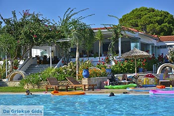 Glyfa - Elia Peloponnesos foto 13 - Foto van https://www.grieksegids.nl/fotos/peloponnesos/elia/glyfa-elia/350pix/glyfa-elia-013.jpg