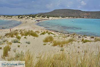 Elafonisos Lakonia - Peloponnesos foto 13 - Foto van https://www.grieksegids.nl/fotos/peloponnesos/lakonia/elafonisos/350pix/elafonisos-lakonia-013.jpg