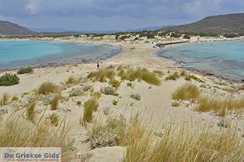 Elafonisos Lakonia - Peloponnesos foto 15 - Foto van https://www.grieksegids.nl/fotos/peloponnesos/lakonia/elafonisos/350pix/elafonisos-lakonia-015.jpg