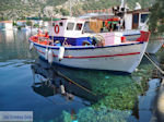 GriechenlandWeb.de Agia Kyriaki Pilion Magnisia - Foto GriechenlandWeb.de