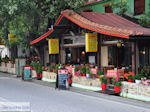 GriechenlandWeb Chania Pilion Magnisia - Foto GriechenlandWeb.de