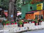 GriechenlandWeb Chania Pilion Magnisia - Foto GriechenlandWeb.de