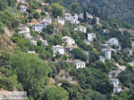 GriechenlandWeb Makrinitsa Pilion Magnisia - Foto GriechenlandWeb.de