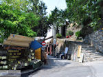GriechenlandWeb Makrinitsa Pilion Magnisia - Foto GriechenlandWeb.de