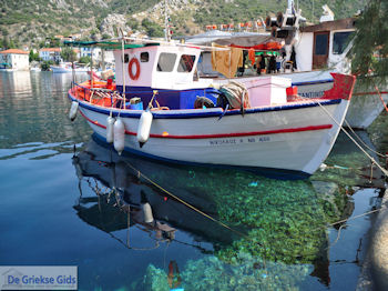Agia Kyriaki Pilion - Griekenland - foto 11 - Foto van https://www.grieksegids.nl/fotos/piliongriekenland/pilion350/agia-kyriaki-pilion-011.jpg