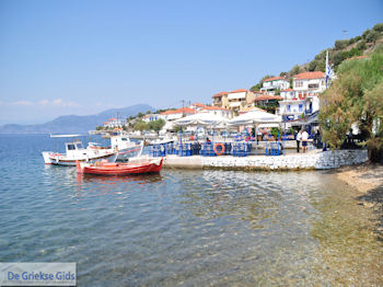 Agia Kyriaki Pilion - Griekenland - foto 19 - Foto van https://www.grieksegids.nl/fotos/piliongriekenland/pilion350/agia-kyriaki-pilion-019.jpg