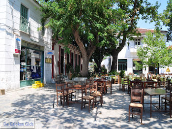 Argalasti Pilion - Griekenland - foto 4 - Foto van https://www.grieksegids.nl/fotos/piliongriekenland/pilion350/argalasti-pilion-004.jpg