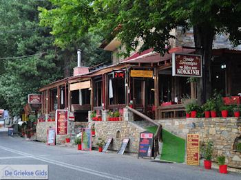 Hania Pilion - Griekenland - foto 2 - Foto van https://www.grieksegids.nl/fotos/piliongriekenland/pilion350/hania-pilion-002.jpg