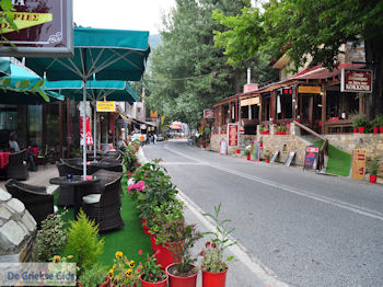 Hania Pilion - Griekenland - foto 4 - Foto van https://www.grieksegids.nl/fotos/piliongriekenland/pilion350/hania-pilion-004.jpg