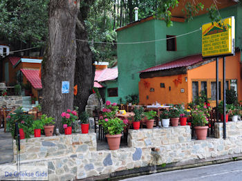 Hania Pilion - Griekenland - foto 7 - Foto van https://www.grieksegids.nl/fotos/piliongriekenland/pilion350/hania-pilion-007.jpg