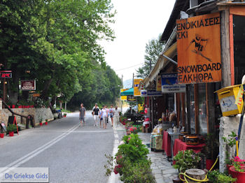 Hania Pilion - Griekenland - foto 10 - Foto van https://www.grieksegids.nl/fotos/piliongriekenland/pilion350/hania-pilion-010.jpg