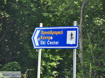 Hania Pilion - Griekenland - foto 13 - Foto van https://www.grieksegids.nl/fotos/piliongriekenland/pilion350/hania-pilion-013.jpg