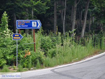 Hania Pilion - Griekenland - foto 14 - Foto van https://www.grieksegids.nl/fotos/piliongriekenland/pilion350/hania-pilion-014.jpg