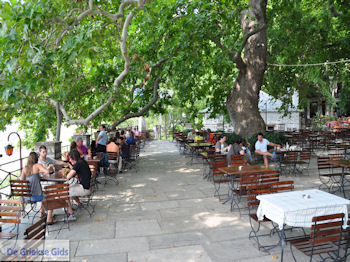 Makrinitsa Pilion - Griekenland - foto 26 - Foto van https://www.grieksegids.nl/fotos/piliongriekenland/pilion350/makrinitsa-pilion-026.jpg