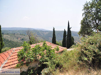 Milies Pilion - Griekenland - foto 1 - Foto van https://www.grieksegids.nl/fotos/piliongriekenland/pilion350/milies-pilion-001.jpg