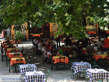 Milies Pilion - Griekenland - foto 3 - Foto van https://www.grieksegids.nl/fotos/piliongriekenland/pilion350/milies-pilion-003.jpg