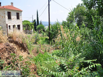 Milies Pilion - Griekenland - foto 12 - Foto van https://www.grieksegids.nl/fotos/piliongriekenland/pilion350/milies-pilion-012.jpg