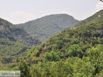 Milies Pilion - Griekenland - foto 14 - Foto van https://www.grieksegids.nl/fotos/piliongriekenland/pilion350/milies-pilion-014.jpg