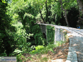 Milies Pilion - Griekenland - foto 23 - Foto van https://www.grieksegids.nl/fotos/piliongriekenland/pilion350/milies-pilion-023.jpg