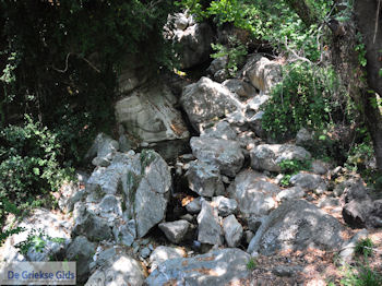 Milies Pilion - Griekenland - foto 24 - Foto van https://www.grieksegids.nl/fotos/piliongriekenland/pilion350/milies-pilion-024.jpg