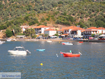 Platania Pilion - Griekenland - foto 1 - Foto van https://www.grieksegids.nl/fotos/piliongriekenland/pilion350/platania-pilion-001.jpg