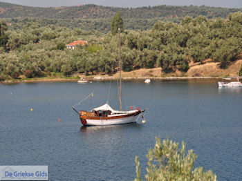 Tzasteni Pilion - Griekenland -foto 7 - Foto van https://www.grieksegids.nl/fotos/piliongriekenland/pilion350/tzasteni-pilion-007.jpg
