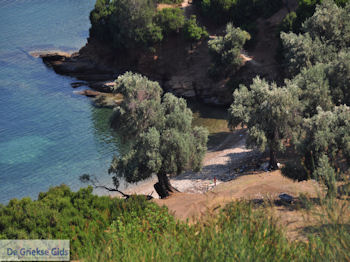 Tzasteni Pilion - Griekenland -foto 15 - Foto van https://www.grieksegids.nl/fotos/piliongriekenland/pilion350/tzasteni-pilion-015.jpg