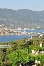 Poros | Saronische eilanden | Griekenland 196 - Foto van De Griekse Gids