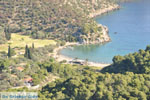 GriechenlandWeb.de Vagionia Poros | Saronische eilanden | GriechenlandWeb.de Foto 205 - Foto GriechenlandWeb.de