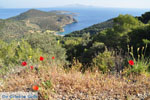 Foto Poros Saronische Inseln GriechenlandWeb - Foto GriechenlandWeb.de