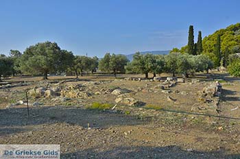 Tempel Poseidon op Poros (Saronische eilanden) nr6 - Foto van https://www.grieksegids.nl/fotos/poros/normaal/tempel-poseidon-poros-006.jpg
