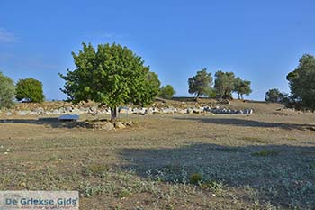 Tempel Poseidon op Poros (Saronische eilanden) nr14 - Foto van https://www.grieksegids.nl/fotos/poros/normaal/tempel-poseidon-poros-014.jpg