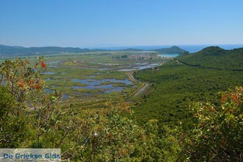 Ammoudia, Acheron delta - Departement Preveza -  Foto 2 - Foto van https://www.grieksegids.nl/fotos/preveza/ammoudia/normaal/ammoudia-002.jpg