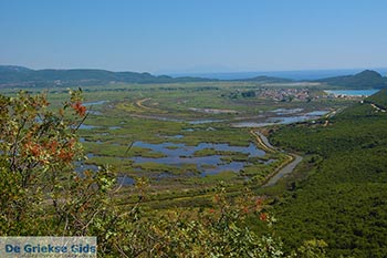 Ammoudia, Acheron delta - Departement Preveza -  Foto 8 - Foto van https://www.grieksegids.nl/fotos/preveza/ammoudia/normaal/ammoudia-008.jpg