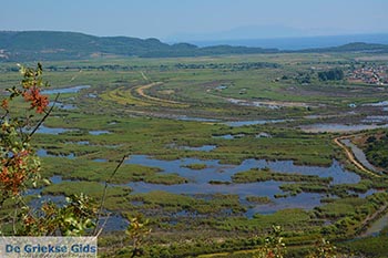 Ammoudia, Acheron delta - Departement Preveza -  Foto 9 - Foto van https://www.grieksegids.nl/fotos/preveza/ammoudia/normaal/ammoudia-009.jpg