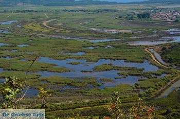 Ammoudia, Acheron delta - Departement Preveza -  Foto 10 - Foto van https://www.grieksegids.nl/fotos/preveza/ammoudia/normaal/ammoudia-010.jpg