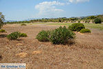 Afandou Rhodos - Rhodos Dodecanese - Foto 30 - Foto van De Griekse Gids