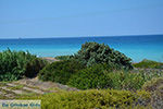 Apolakkia Rhodos - Rhodos Dodecanese - Foto 83 - Foto van De Griekse Gids