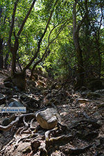 Epta Piges - Zeven bronnen Rhodos - Rhodos Dodecanese - Foto 163 - Foto van De Griekse Gids